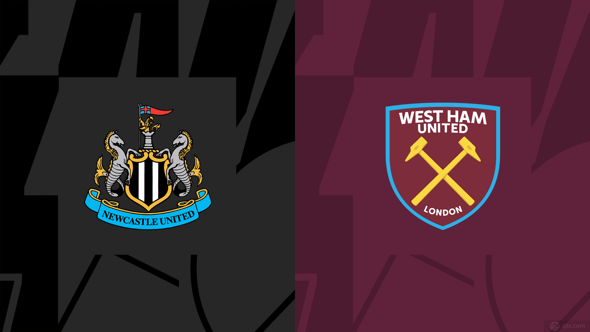 他们的能力 他们的能力